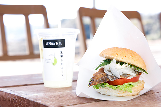 カツオたたきバーガー/道の駅ビオスおおがた(高知県/黒潮町)