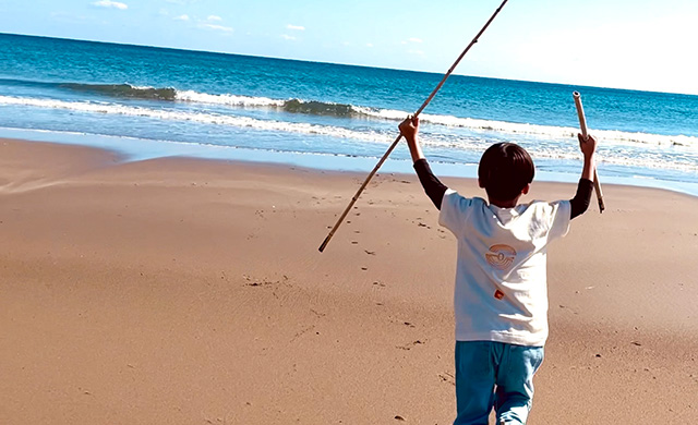 太平洋が一望できるビーチ(高知県/黒潮町)