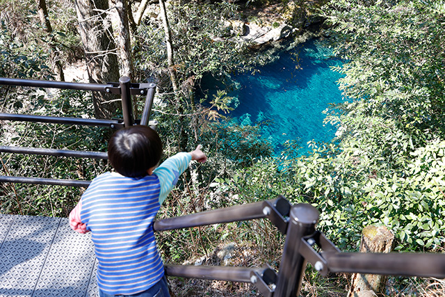 滝つぼ「にこ淵」(高知県/いの町)