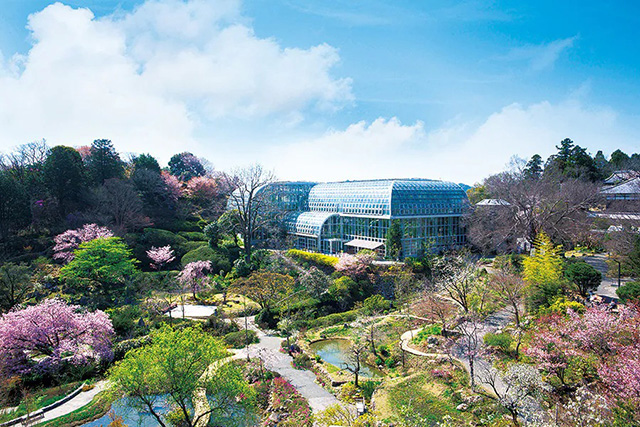 高知県立牧野植物園(高知県/高知市)
