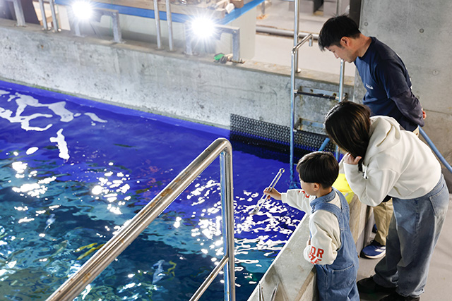 バックヤードツアーの様子/高知県立足摺海洋館SATOUMI(高知県/土佐清水市)