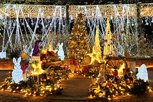 ガーデンイルミネーション（東京都/練馬区）