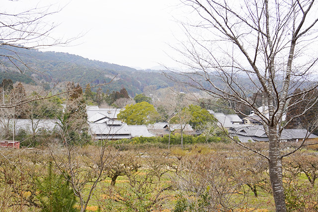 叶 匠壽庵 寿長生の郷（滋賀県/大津市）