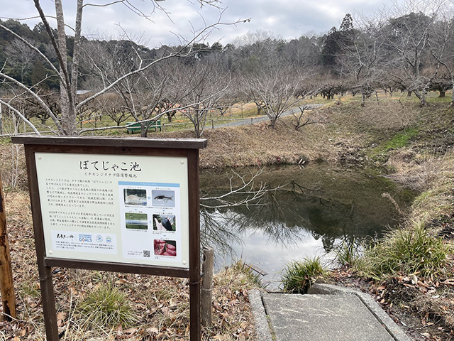 「ぼてじゃこ池」/叶 匠壽庵 寿長生の郷（滋賀県/大津市）