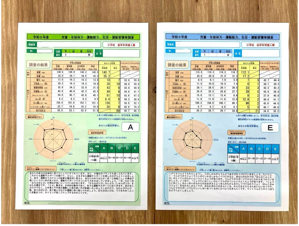 新体力テスト 結果表