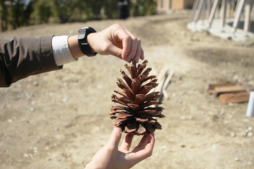 自然体験プログラム/AWAJI EARTH MUSEUM（兵庫県/淡路市）