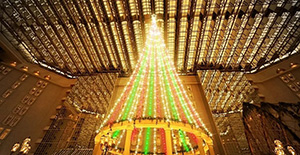 Shiny Christmas! ～光輝くクリスマス～（千葉県/浦安市）