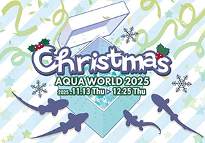 クリスマス アクアワールド2025（茨城県/大洗町）