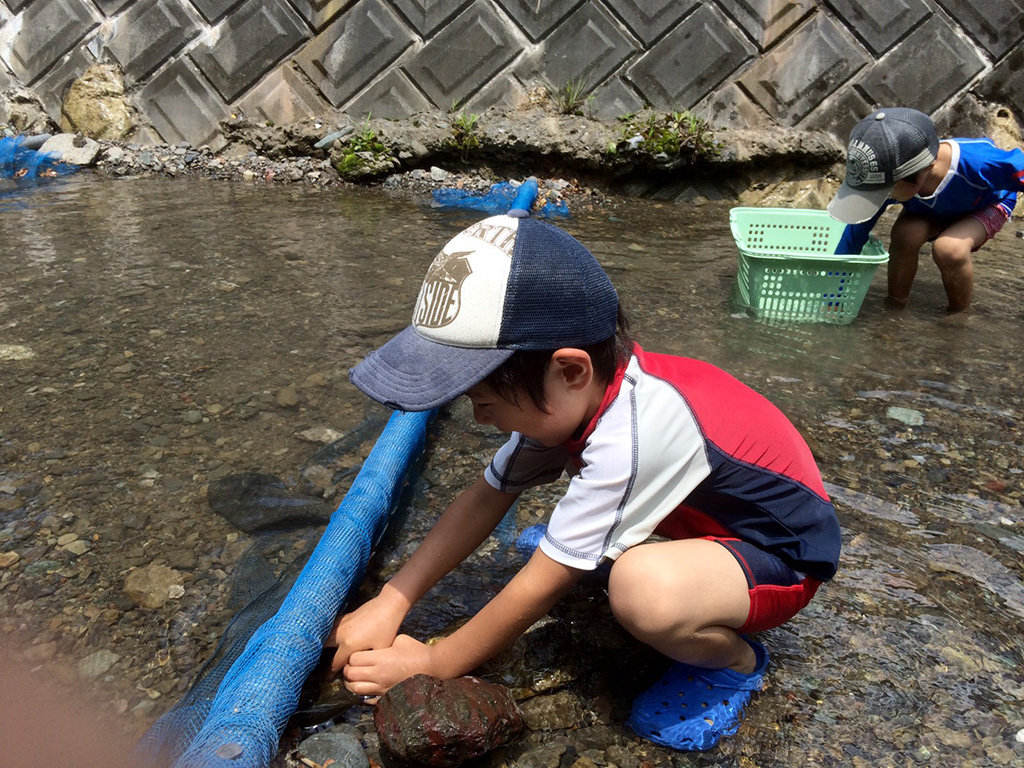 小松沢レジャー農園(埼玉県/横瀬町)