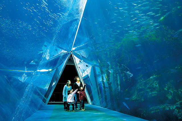 潮目の大水槽/環境水族館アクアマリンふくしま(福島県/いわき市)