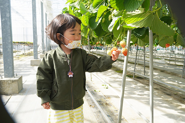 淡路ファームパーク イングランドの丘（兵庫県/南あわじ市）