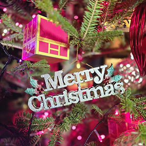 ドラゴンクエスト アイランド クリスマス2025(兵庫県/淡路市)