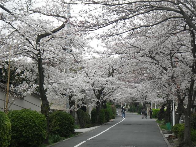 枚岡公園（大阪府／東大阪市）