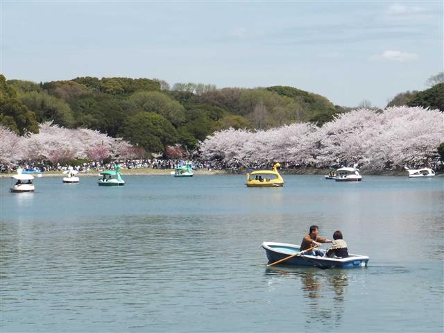 兵庫県立 明石公園（兵庫県／明石市）