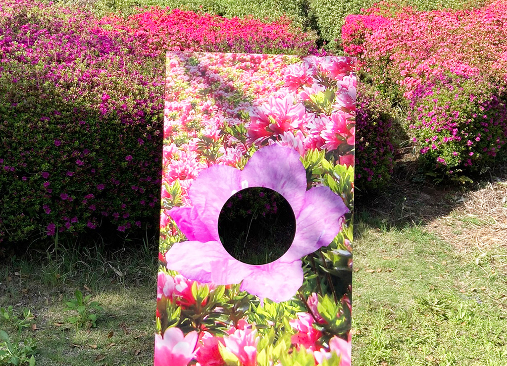 限定フォトスポット/つつじ・こいのぼりまつり（静岡県/熱海市）