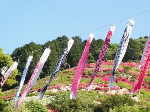 静岡・姫の沢公園で「つつじ・こいのぼりまつり」開催　GWにはステージイベントやミニ電車体験、広場の無料開放も！