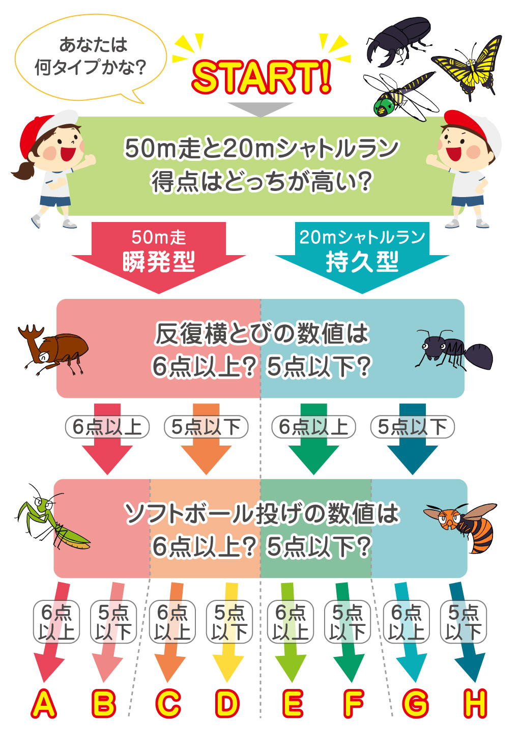 新体力テストタイプ別フローチャート