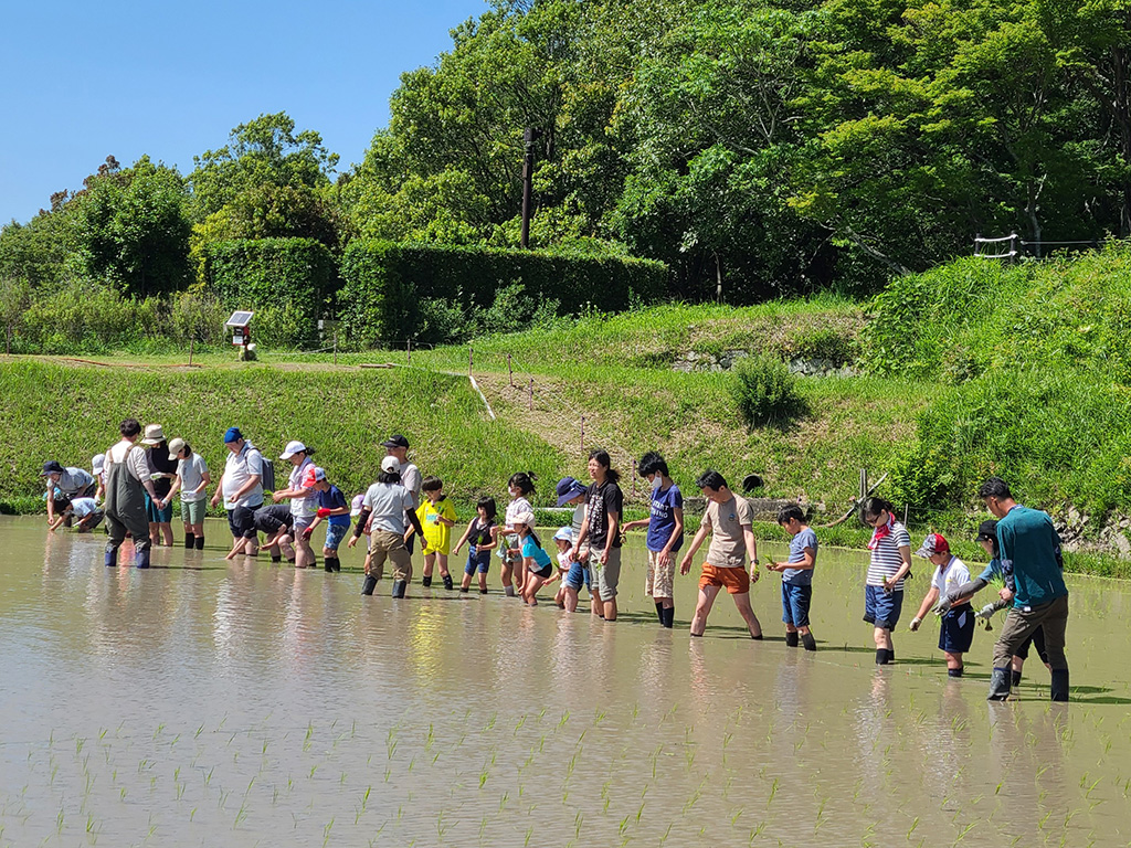 国営明石海峡公園神戸地区 あいな里山公園