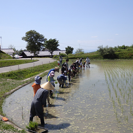 国営明石海峡公園神戸地区 あいな里山公園