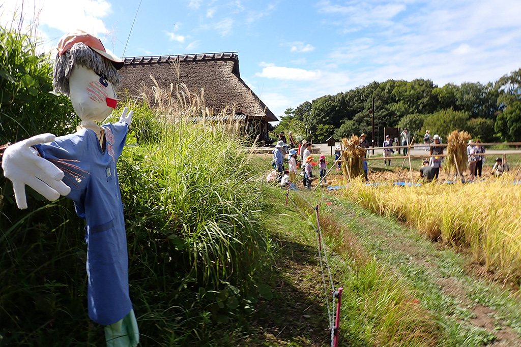 国営明石海峡公園神戸地区 あいな里山公園