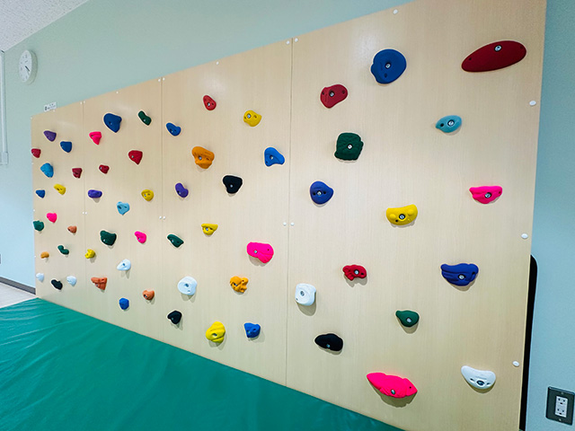 クライミングウォール／いちはら子ども未来館（weほーる）