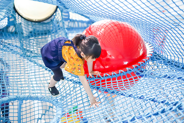 ネットジャングル／釧路市こども遊学館