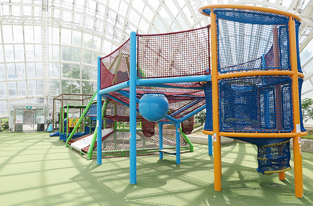 わんぱくドーム／笛吹川フルーツ公園