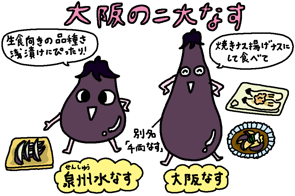 大阪の二大なす/大阪府の特産品「ナス」