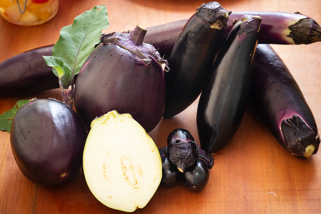 ナス（イメージ）