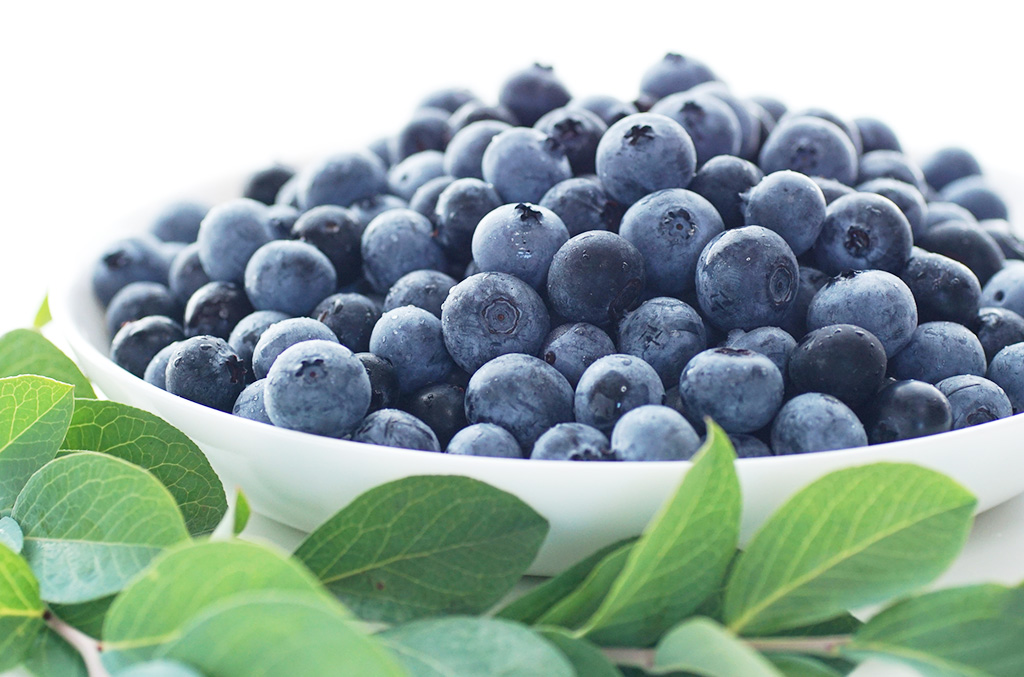 ブルーベリー(イメージ)