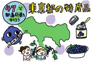 東京都の特産品おもしろ雑学｜ブルーベリーが有名になったきっかけは観光農園