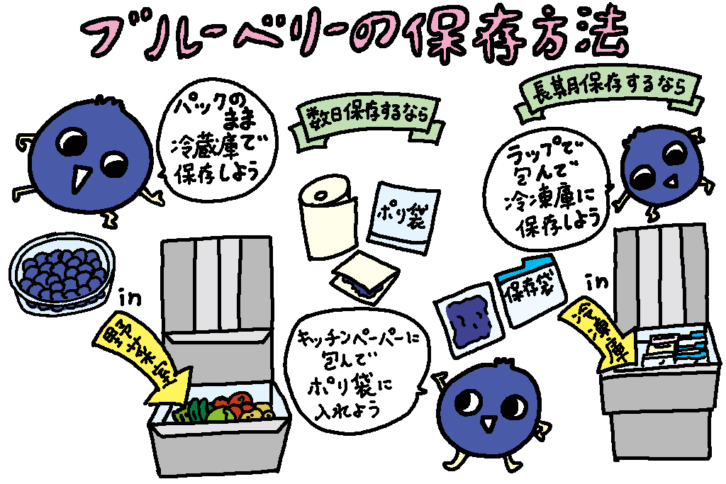ブルーベリーの保存方法/東京都の特産品「ブルーベリー」