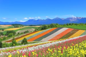 【北海道】ゴールデンウィークに人気な子連れおすすめホテルランキングTOP10