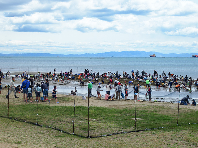 姫路白浜潮干狩り場（過去に開催時のもの）