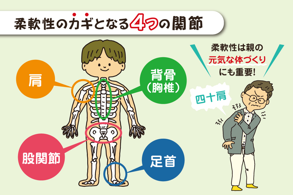 柔軟性のカギとなる4つの関節/親子でできる簡単ストレッチ