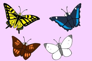 春のチョウを観察！モンシロチョウやアゲハチョウ…冬を越すチョウもいる