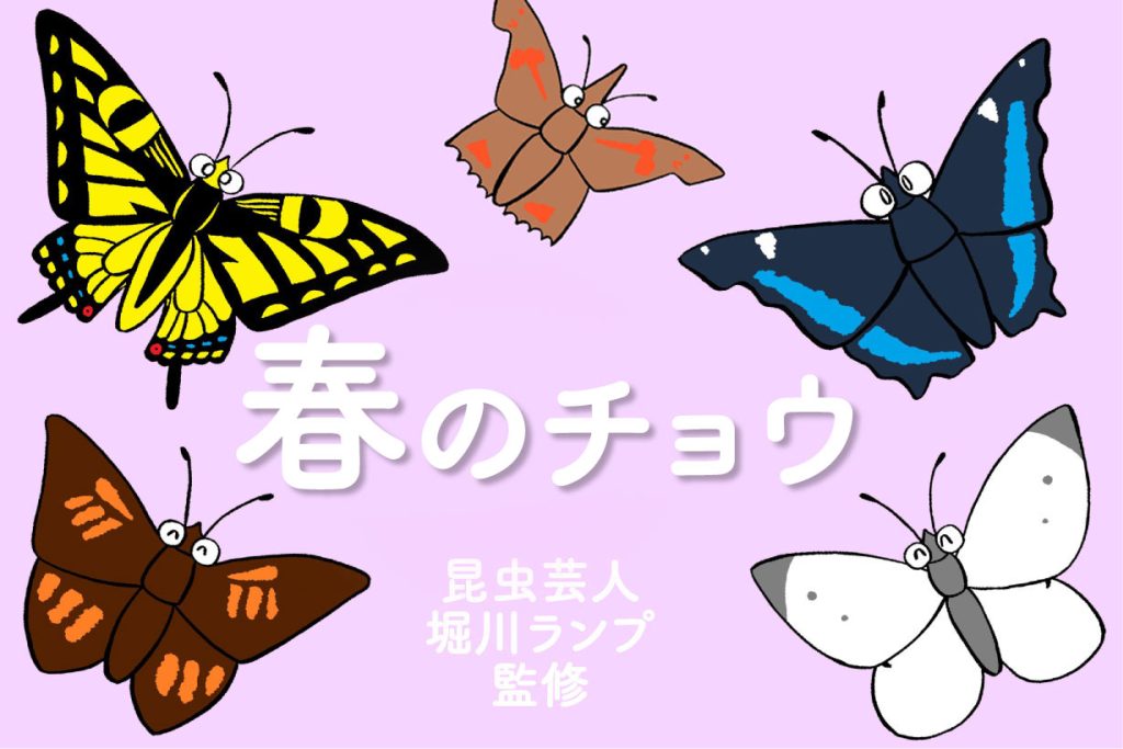 春のチョウを観察！モンシロチョウやアゲハチョウ…冬を越すチョウもいる