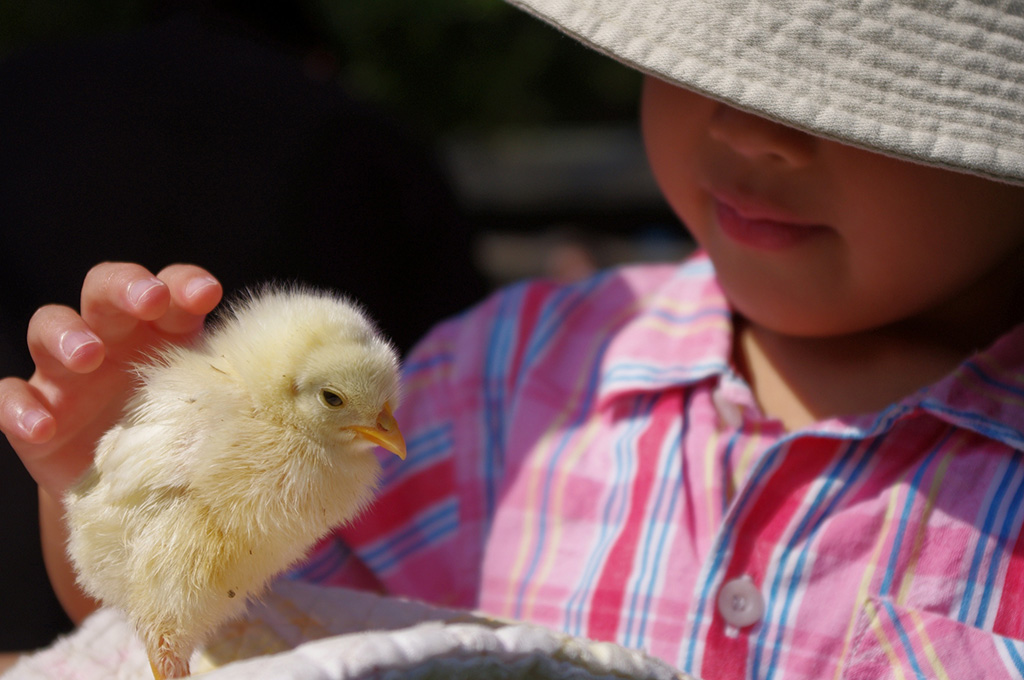 「ふれあい空の動物園」/青葉台東急スクエア 屋上広場（神奈川県/横浜市）