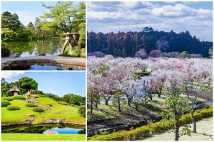 日本三大庭園（日本三名園）とはどこ？「偕楽園（茨城県）」「兼六園（石川県）」「後楽園（岡山県）」の見どころやアクセスをご紹介！中学受験対策にも