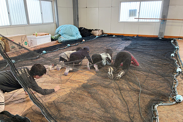 定置網漁の網の中に入る様子/ポケマルおやこ地方留学（福岡県/古賀市）