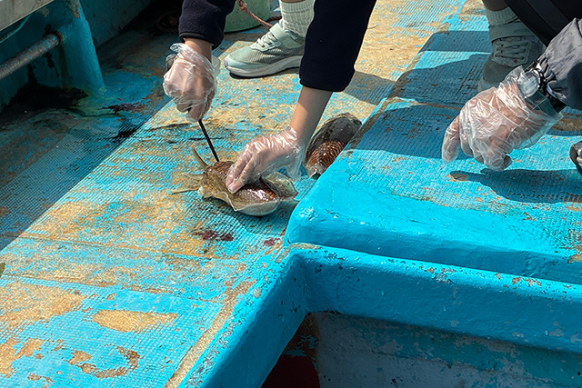 /ポケマルおやこ地方留学（福岡県/古賀市）