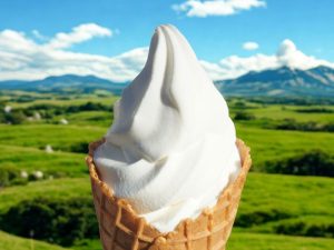 中央自動車道(中央道)【下り】のおすすめグルメ＆お土産があるSA・PA