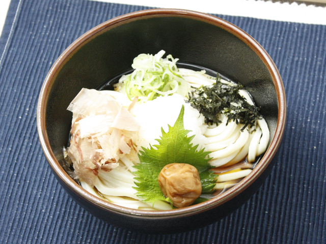 梅おろしぶっかけうどん／笠間PA【東行き/西行き】（茨城県／笠間市）