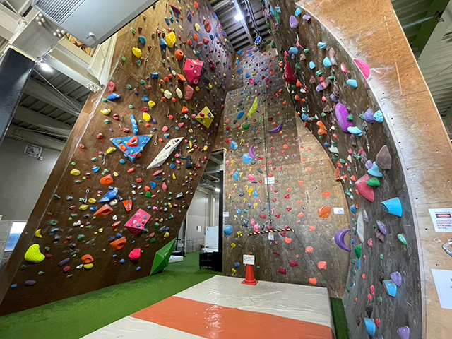 リードクライミングエリア／ディーボルダリングプラスリード春日部（埼玉県／春日部市）