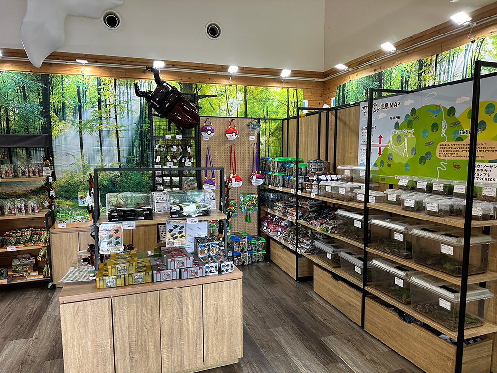 カブトムシグッズ販売会/発見と体験がいっぱい。カブトムシ＆クワガタの世界（静岡県/三島市）