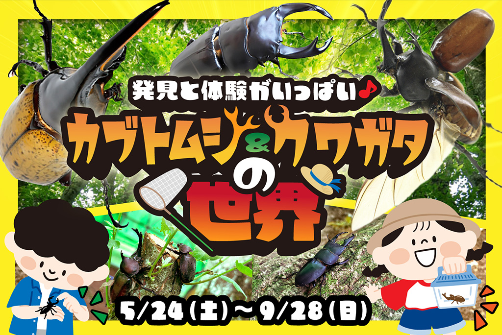 発見と体験がいっぱい。カブトムシ＆クワガタの世界（静岡県/三島市）