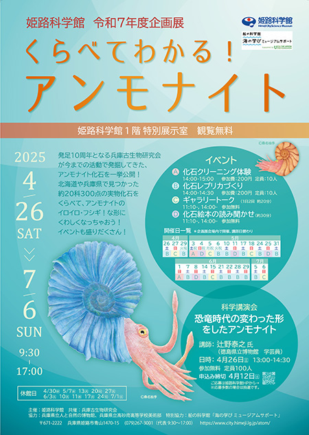 企画展「くらべてわかる!アンモナイト」（兵庫県/姫路市）