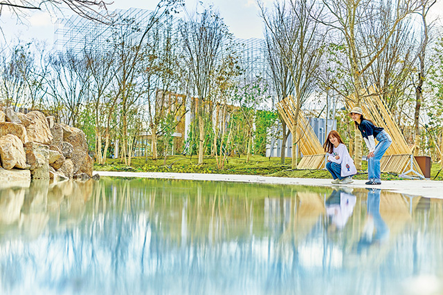 静けさの森/大阪・関西万博(大阪府/大阪市)