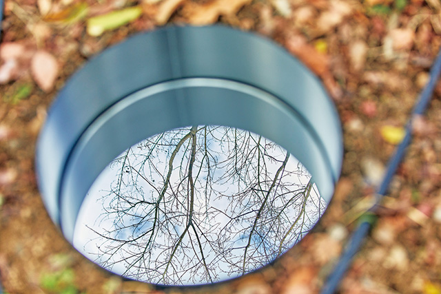 静けさの森/大阪・関西万博(大阪府/大阪市)