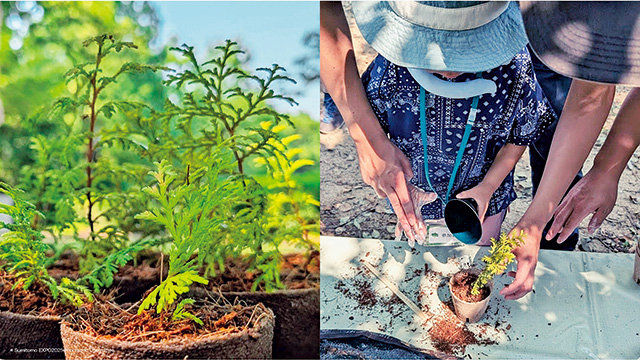植林体験/大阪・関西万博(大阪府/大阪市)